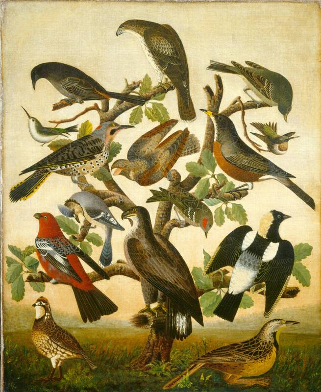 Birds by American 19th Century, c. 1840