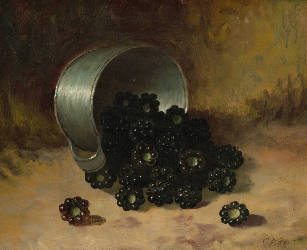 Blackberries Spilling from Tin Cup by Carducius Plantagenet Ream, n.d.
