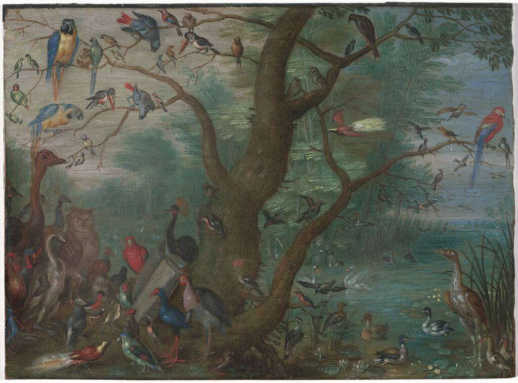Concert of Birds by Anonymous Artist, 1660/1670