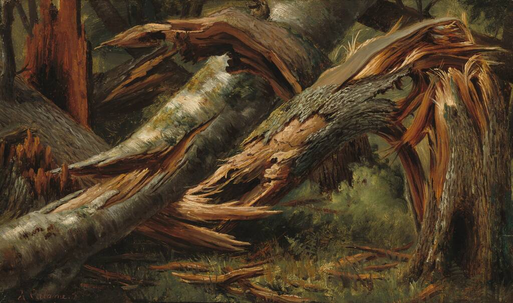 Fallen Tree by Alexandre Calame, 1839/1845
