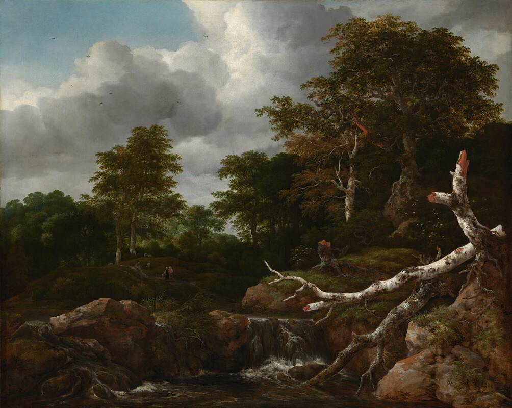 Forest Scene by Jacob van Ruisdael, c. 1655