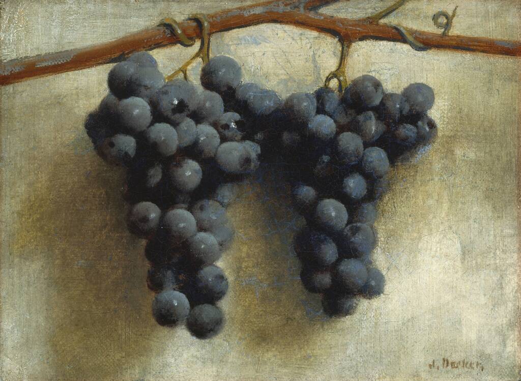 Grapes by Joseph Decker, c. 1890/1895
