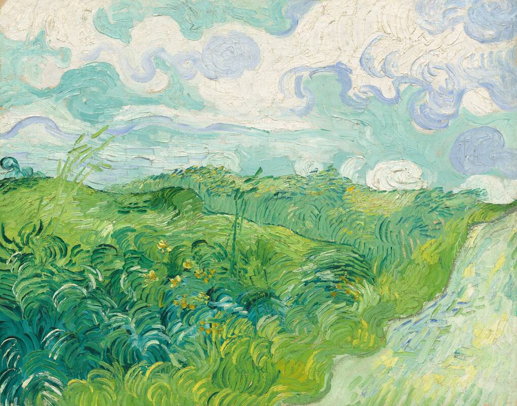 Green Wheat Fields, Auvers by Vincent van Gogh, 1890
