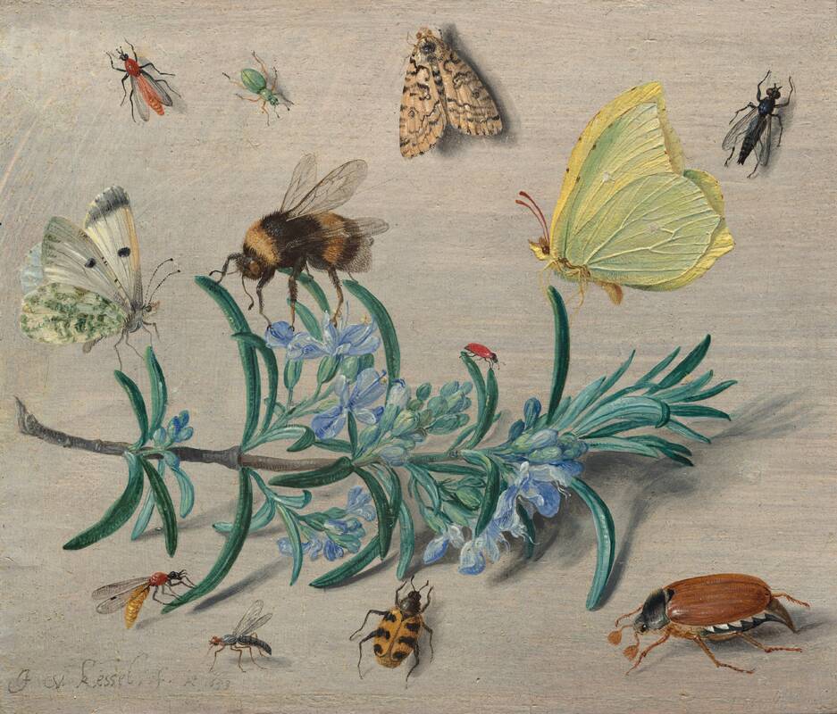 Insects and a Sprig of Rosemary by Jan van Kessel the Elder, 1653