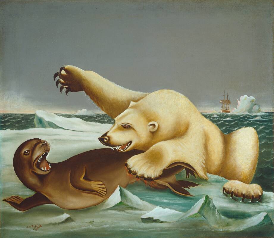 Law of the Wild by Charles S. Raleigh, 1881