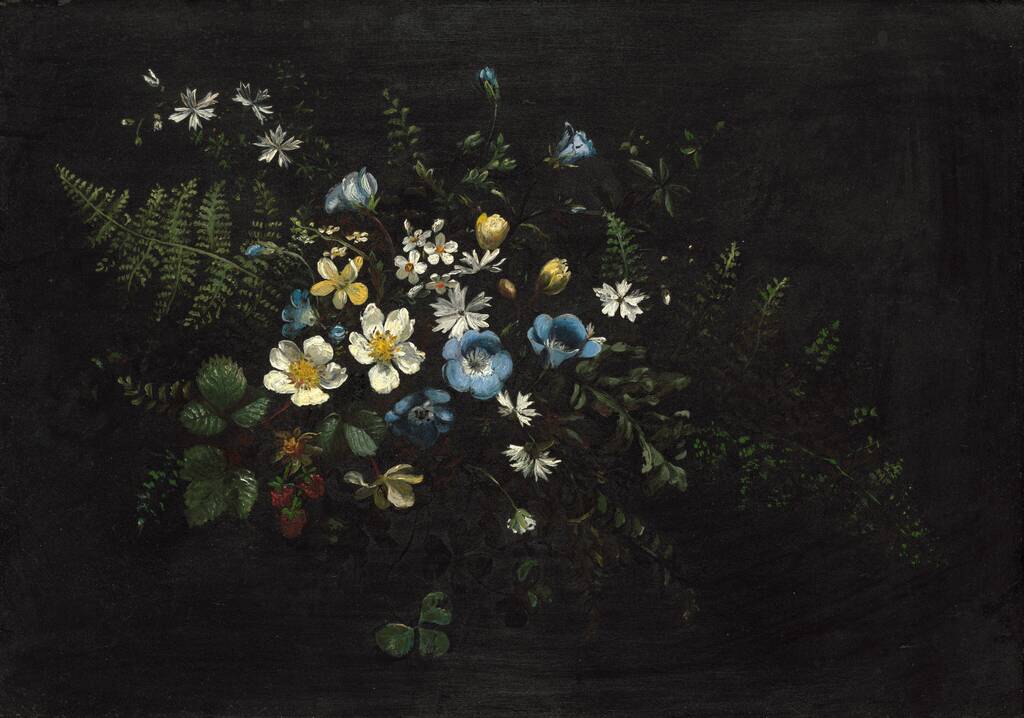 Spray of Flowers and Ferns by Titian Ramsay Peale, date unknown