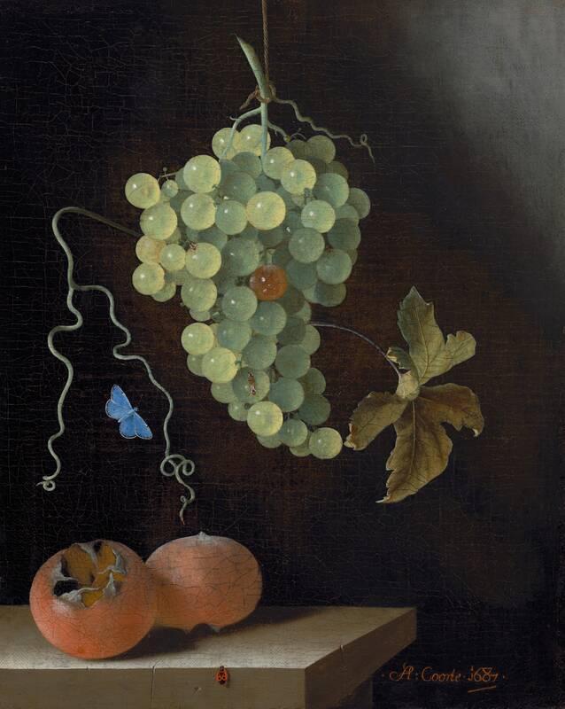 Still Life with a Hanging Bunch of Grapes, Two Medlars, and a Butterfly by Adriaen Coorte, 1687