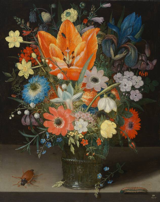 Still Life with Iris by Peter Binoit, 1623