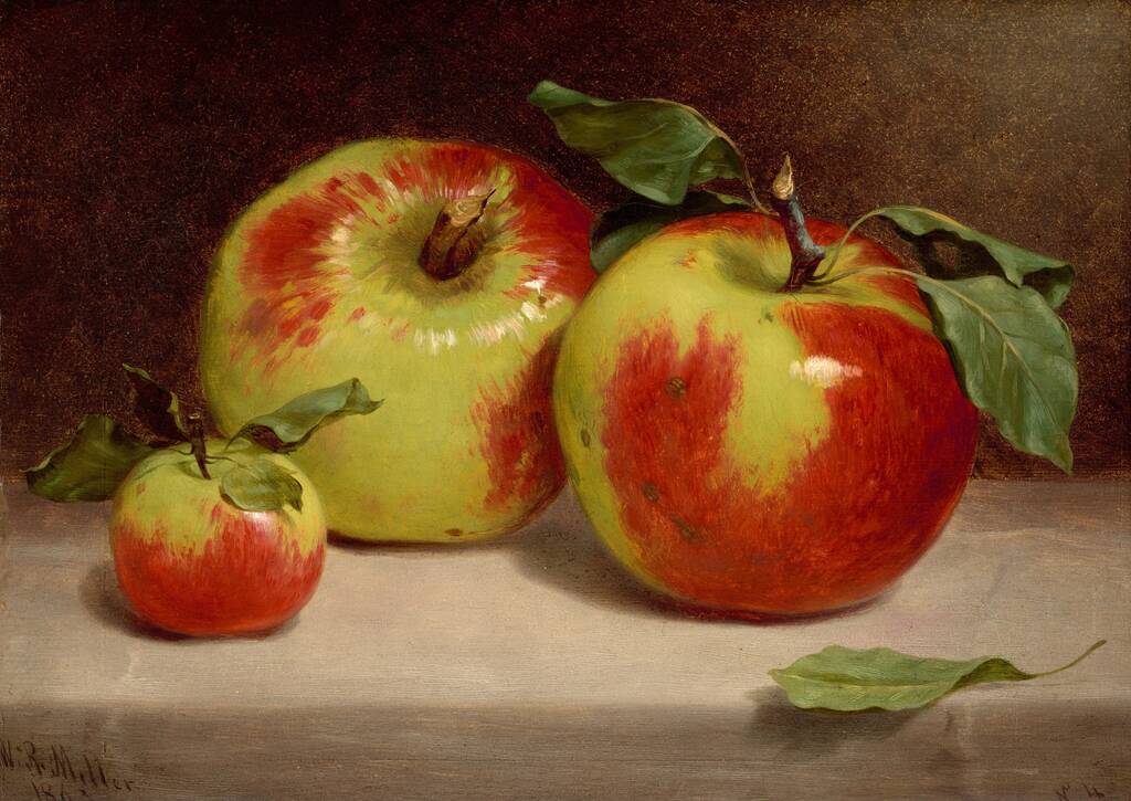 Study of Apples from Nature by William Rickarby Miller, 1863