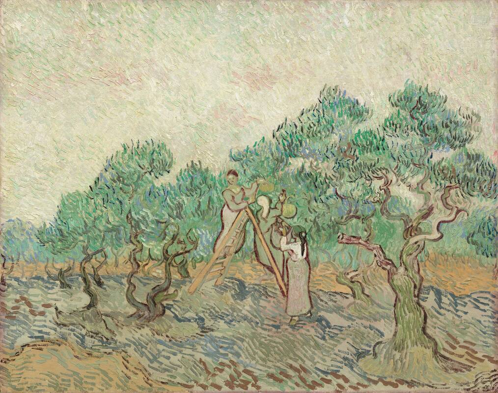 The Olive Orchard by Vincent van Gogh, 1889