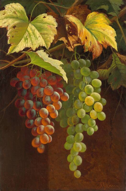 Two Bunches of Grapes by Andrew John Henry Way, n.d.