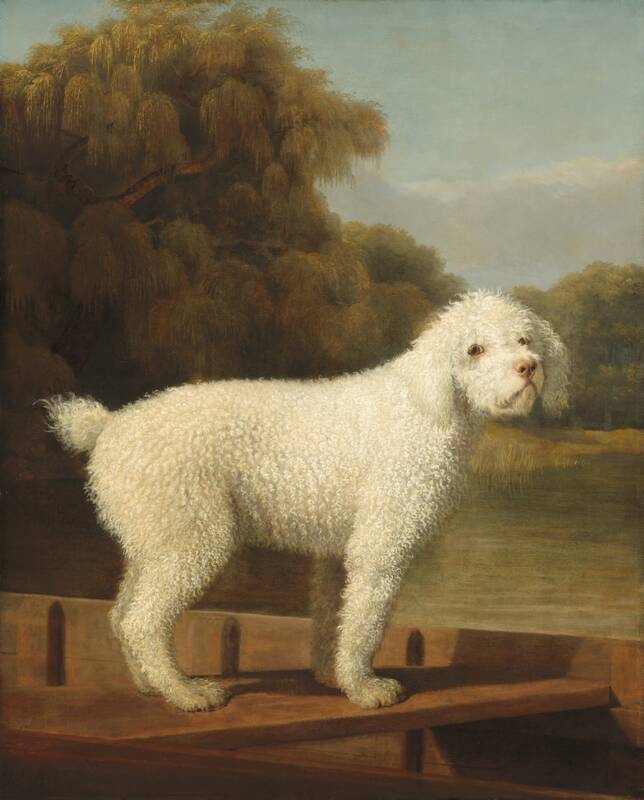 White Poodle in a Punt by George Stubbs, c. 1780